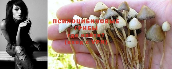 герыч Арсеньев