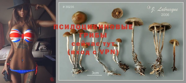 герыч Арсеньев