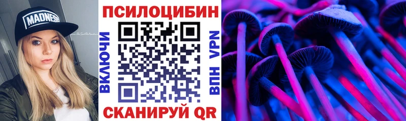 Псилоцибиновые грибы мицелий  где купить наркоту  Светогорск 